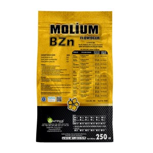 molium kopya5